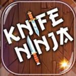 Knife Ninja